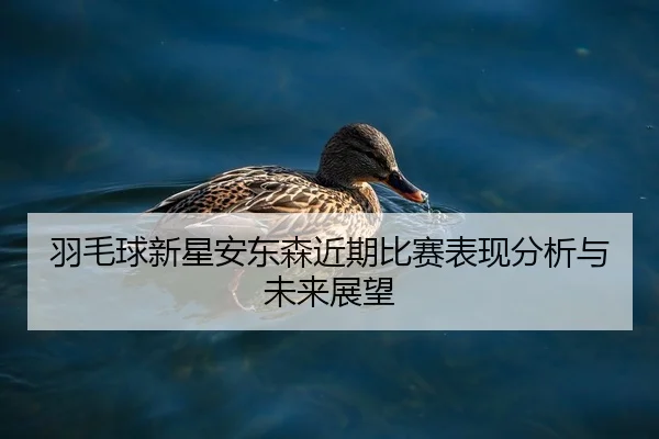 羽毛球新星安东森近期比赛表现分析与未来展望