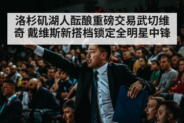 洛杉矶湖人酝酿重磅交易武切维奇 戴维斯新搭档锁定全明星中锋
